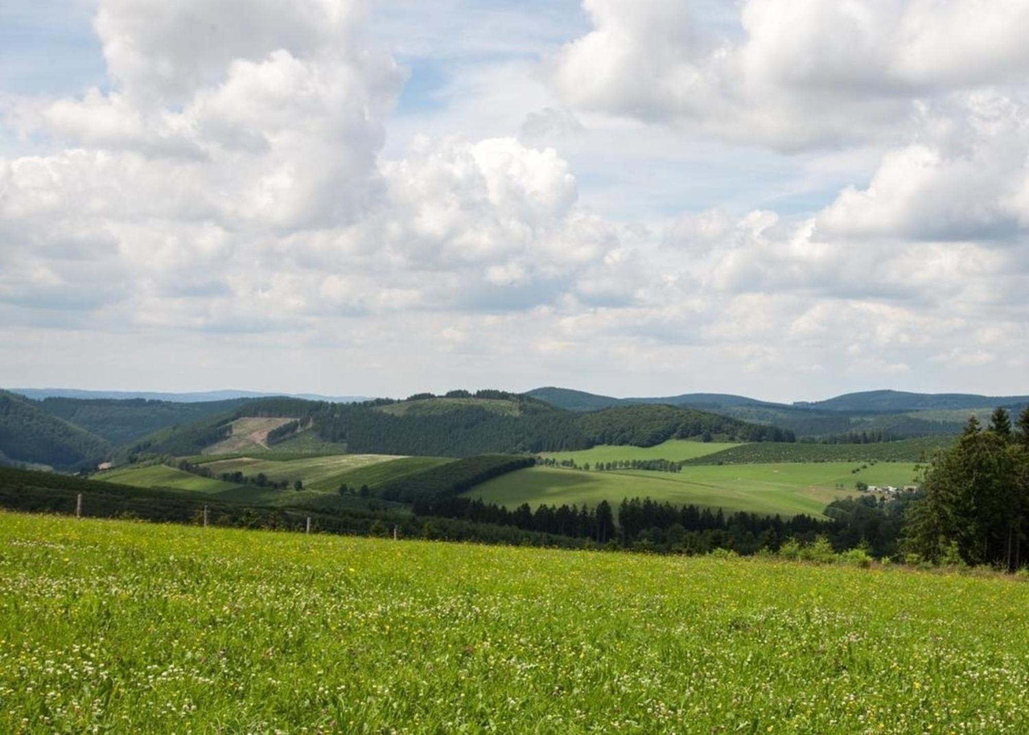 Ferienhaus Grenzweg Винтерберг Екстериор снимка